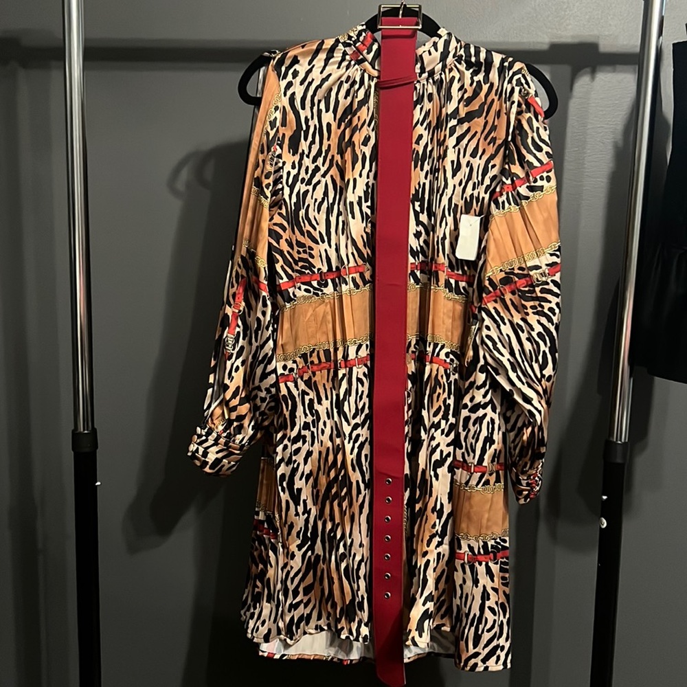 Animal Print Long Sleeve Dress